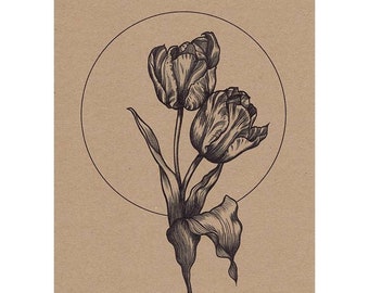 Print of my botanical illustration 'Tulips', vintage drawing, black line work floral, botanical art