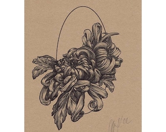 Print of my botanical illustration 'Chrysanthemum', vintage botanical drawing, black line work floral art