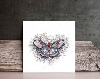 Original Watercolor butterfly moth grey / red Painting - insects / nature - Fine Art  drawing / wall art / beautifull gift idea by Norvile