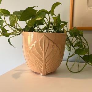 May include: A peach-colored ceramic plant pot with a large leaf design. The pot is filled with a green leafy plant with trailing vines. The pot sits on a white surface.