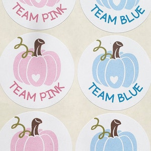 Calcomanías de revelación de género de calabaza corazón/equipo rosa equipo azul/pegatinas de revelación de género/etiqueta blanca/paquete de 20