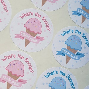 What&#39;s the Scoop Sticker Gender Reveal Stickers/ Ice Cream Gender Stickers/ Gender Reveal Stickers/ 20 Pack