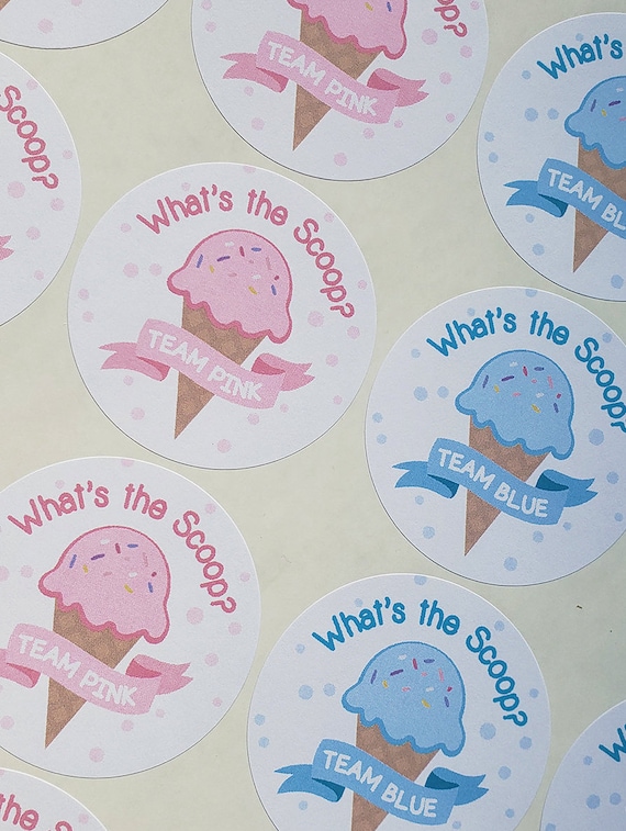 Whats the Scoop Cupcake Toppers/ Ice Cream Gender Reveal/ Set of 12 