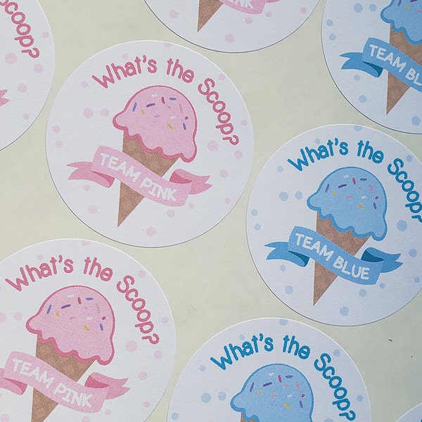 What's the Scoop Sticker Gender Reveal Stickers/ Ice Cream Gender Stickers/ Gender Reveal Stickers/ 20 Pack