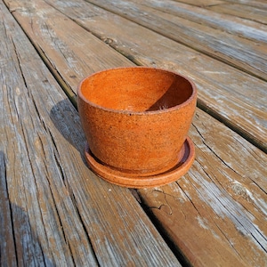 May include: A terracotta-colored ceramic planter with a speckled finish. The planter has a saucer.