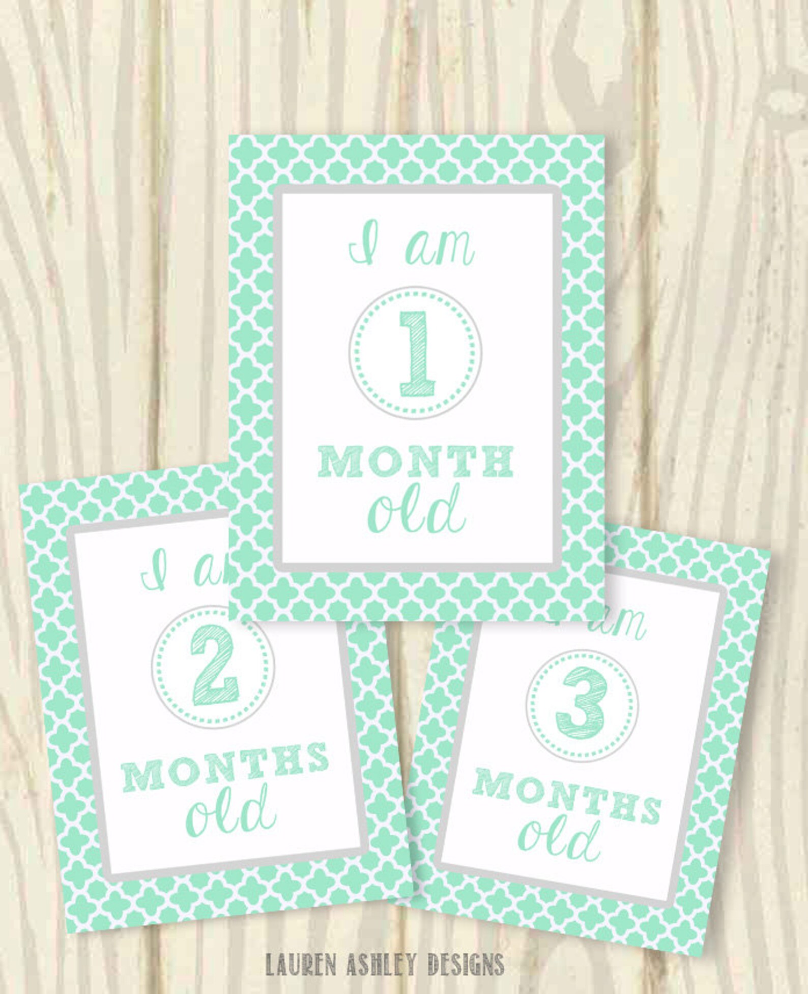 Monthly Age Milestone Baby Signs BOY Print at Home Etsy