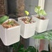 see more listings in the Ikea Greenhouse section