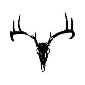 Buck skull decal