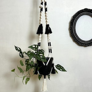 May include: A black and white macrame plant hanger with a black pot holding a green plant. The plant hanger has a white rope design with black accents and tassels. A black framed oval mirror hangs on the wall in the background.