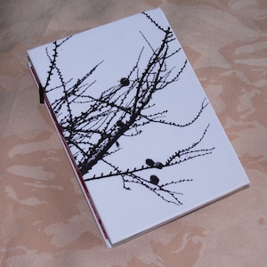 Journal/Blank book. Handmade coptic stitch sewn binding. Use as a scrapbook, memory book or notebook. This one is &quot;Winter Larch&quot;
