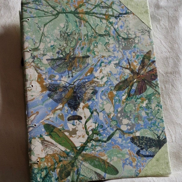 Nature notebook, nature journal, blank journal, notebook. This one is called "Insecta".