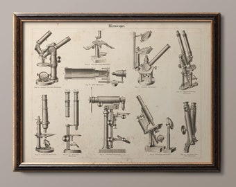 Science Art : Vintage Microscopes Art - Biology Art - Chemistry Art - Science Teacher Gift - Science Decor - Science Print - Circa 1800s