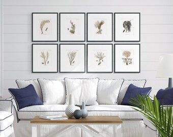 May include: A white living room with a white couch and blue pillows. There are two lamps on either side of the couch and a coffee table in front of it. There are eight framed prints of sea life on the wall behind the couch.