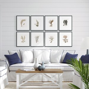Sea Coral Art #7 : Vintage Coral Art - Coral Branch Print - Nautical Bathroom Art - Botanical Bathroom - Giclee Print