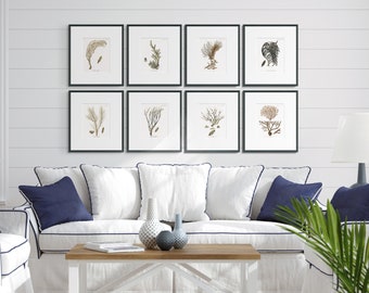 Küsten Kunst - Korallen Druck #3 : Korallen Wand Kunst - Strand Dekor - Meer Koralle Kunst - Hamptons Wand Kunst - Botanischer Druck - Badezimmer Strand Kunst