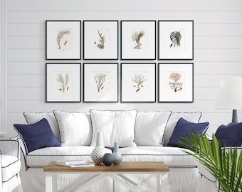 Vintage Coral Print #5 : Hamptons Decor Art - Impresión de pared costera del mar - Arte de coral de baño - Impresión de decoración de playa - Arte de pared de coral - Arte Giclee