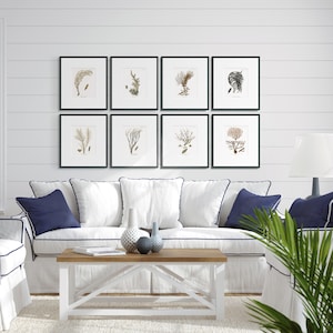 Meereskorallen-Kunst #6: Korallen-Dekor-Kunst - Meer-Küsten-Wanddruck - Badezimmer-Korallen-Kunst - Vintage-Korallen-Kunst - Strand-Kunst - Circa 1791