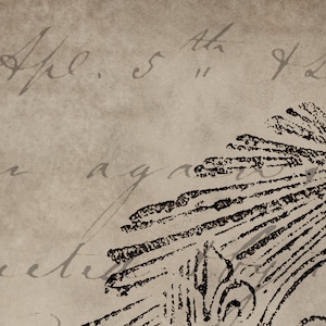 May include: A vintage, aged paper background with handwritten text and a decorative, stylized design of a sun or starburst. The text includes the words "Aff. 5" and "Att.  "  The paper has a brown, textured surface.
