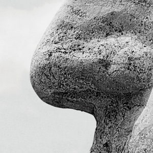 May include: Close-up of a large, textured, grey stone sculpture. The sculpture is shaped like a face, and only the nose is visible in the image.