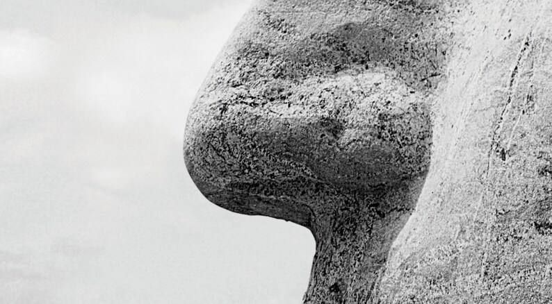 May include: Close-up of a large, textured, grey stone sculpture. The sculpture is shaped like a face, and only the nose is visible in the image.