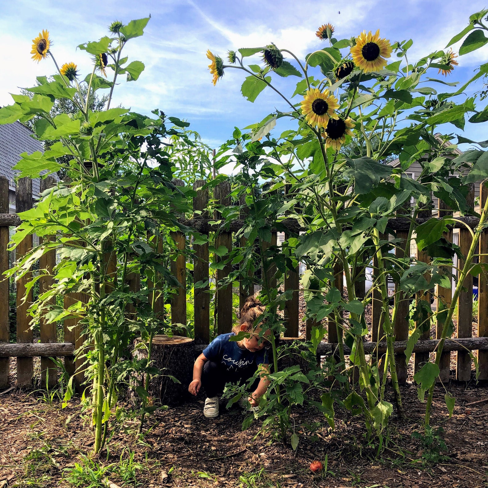 Sunflower House Tutorial Etsy