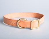 Natural leather dog collar with solid brass hardware - 2.5 cm wide
