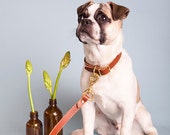 Natural Leash + 1.5 cm Collar set