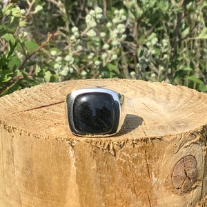 May include: A silver ring with a black square-shaped gemstone.