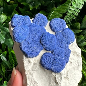 Conjunto de peças de exposição solar de azurita 254g em caulinita, flores de azurita, autoportante, Austrália, pedra de rejuvenescimento energético