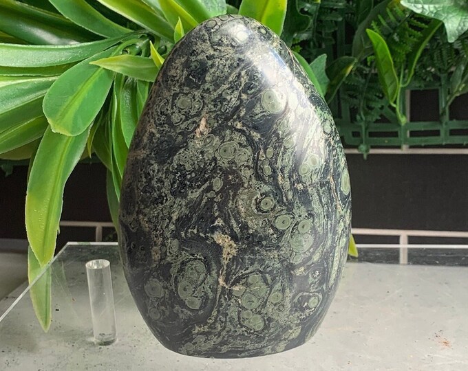 956g Orbicular Kambaba Jasper Freeform, Stone of Tranquility