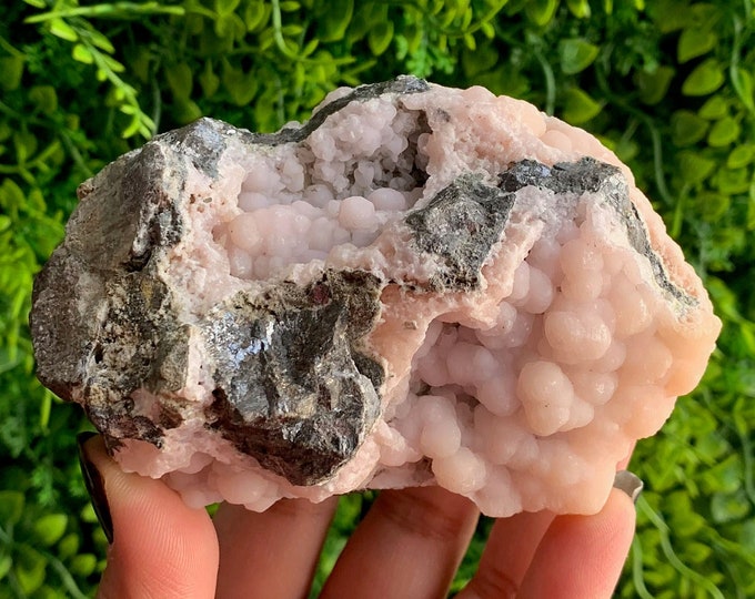 494g Pink Smithsonite Cluster on Galena, Botryoidal Smithsonite, Stone of Emotional Balance