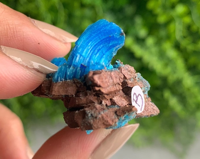 14g Chalcanthite Specimen, Planet Mine Arizona USA, High Quality, Perfect for Collectors, Stone of Community