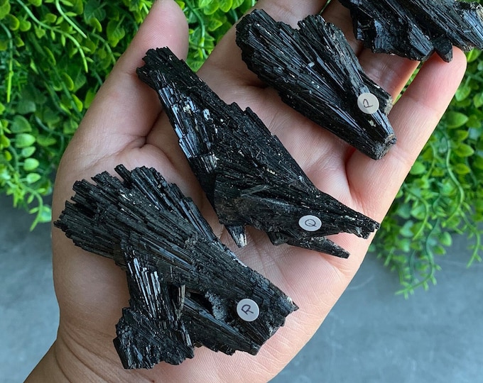 Small Rare Black Tourmaline Fan Cluster, Rare Formation, High Quality, Peruvian, Pick Your Own, Stone of Spiritual Protection