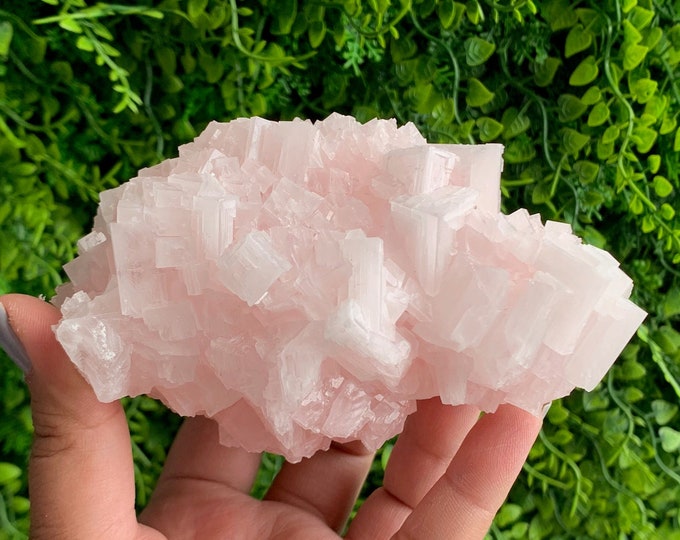 395g Pink Halite Cluster, High Shine, High Quality, Owens Lake 2022, Inyo County, California, Stone of Self Love