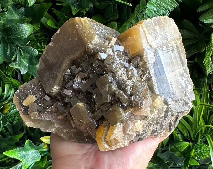 2188g Glossy XL Golden Barite Cluster, High Quality, Secondary Growth, Collectors Item, Rare, Stone of Connection