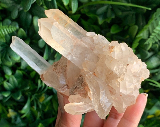 250g Rare Himalayan Quartz Show Piece Cluster, Self Healing, Lemurian Striations, Stone of Calming Energy