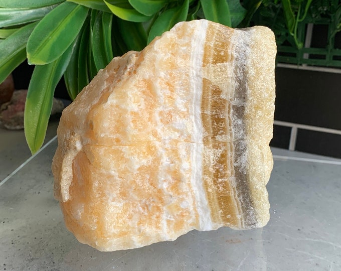 1226g Zebra Calcite Raw Freeform, Rough Stone, Yellow, Black Banding, Stone of Support