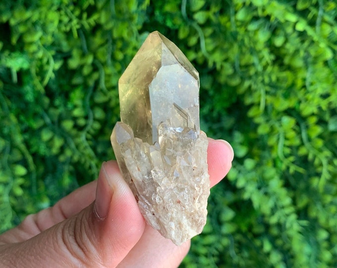 41g Small Kundalini Smoky Citrine Cluster, Pineapple Quartz, Schiller, Faint Phantoms, Stone of Abundance