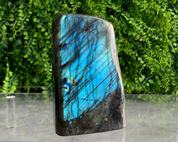 630g Full Teal Flash Labradorite Freeform, Twinning Flash, Adularescence, Stone of Transformation