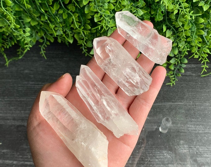Lemurian Clear Quartz Point, Santander Columbia, Schiller, Tantric Points, Pocket Stone, Pick Your Own, Stone of Amplifying Energy