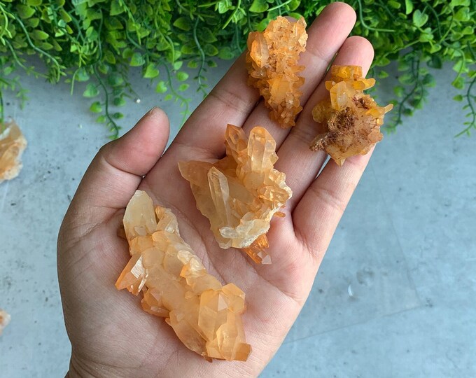 Rare Tangerine Lemurian Quartz Cluster, Pick Your Own, High Quality, Self Healing, Brazil, Stone of Joy