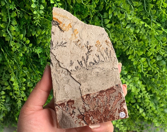 567g Beautiful Picture Jasper Raw Stone Freeform, Flower Jasper, Dendritic Jasper, Stone of Grounding