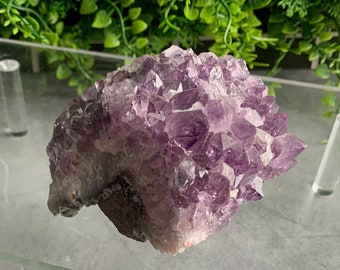 1pc Raw Amethyst Cluster on Agate Base, Pick Your Own, Stone of Relaxation
