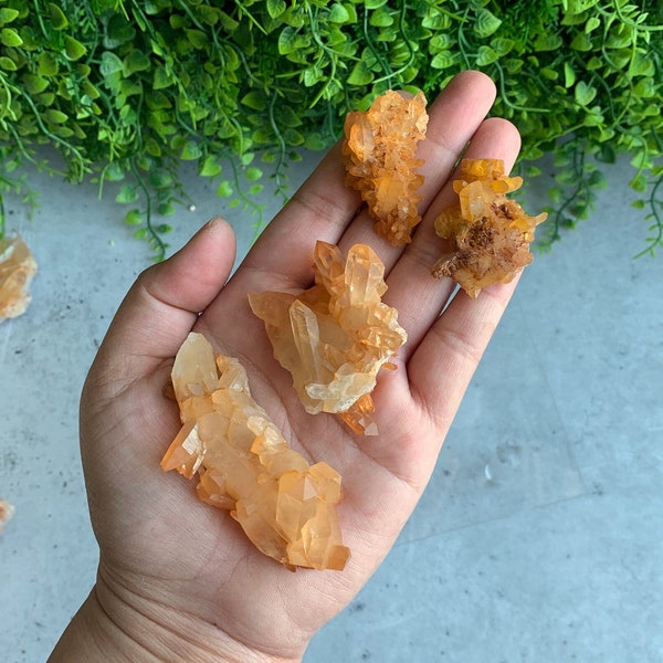 Rare Tangerine Lemurian Quartz Cluster, Pick Your Own, High Quality, Self Healing, Brazil, Stone of Joy