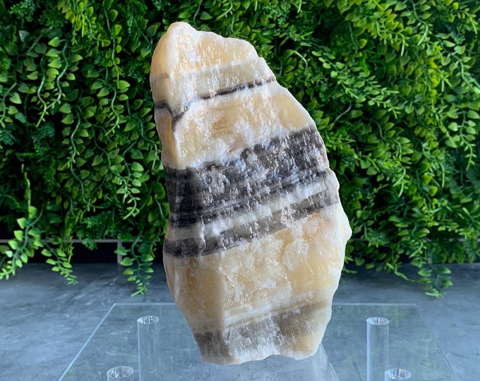 1186g Zebra Calcite Rough Stone, Yellow, Black Banding, Stone of Support