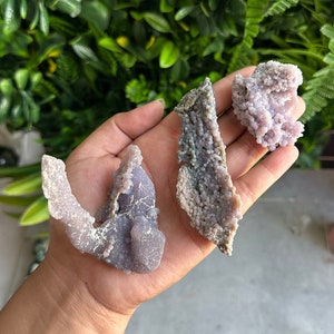 Op de afbeelding: Een hand houdt drie stukken ruwe, ongesneden, paarse druifagaatkristallen vast. De kristallen hebben een bubbelachtige, botryoidale textuur en variëren in tinten van licht lavendel tot diep paars. Groen gebladerte en andere kristallen zijn op de achtergrond.