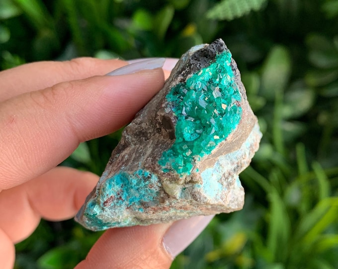 48g Crystalized Dioptase on Matrix, Collection Item, Stone of Forgiveness