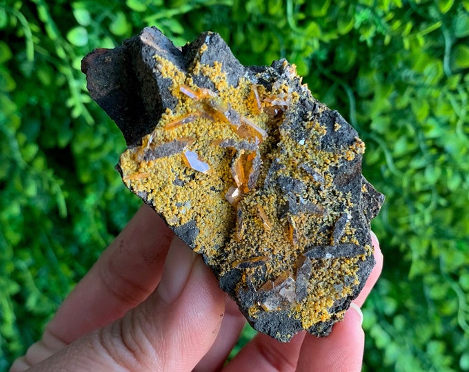 84g Rare Tabular Wulfenite Specimen on Matrix, Collectors Item, Stone of Creativity