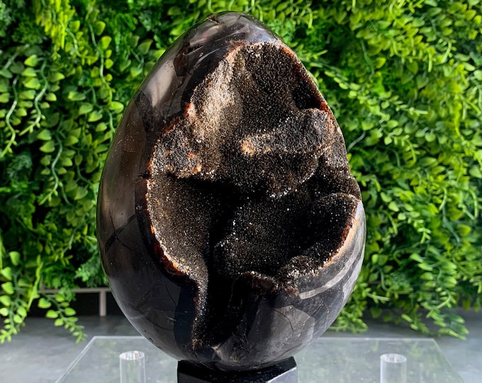 1949g Septarian Nodule Egg, Black Velvet, Natural Drusy, Dragons Egg, Leopard Pattern, Stone of Wholeness