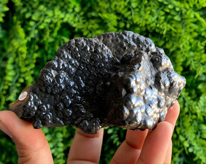 B 406g Botryoidal Hematite Cluster, Beautiful Shine, Raw Stone, Stone of Grounding